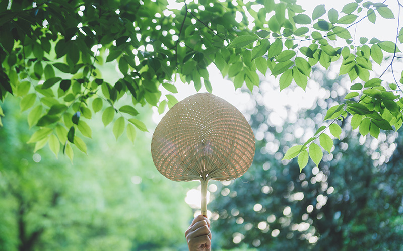 夏末秋凉 “处暑”时节值得关注